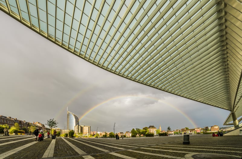 00001886-WBT - J.P. Remy-Liège - Gare de Liège-Guillemins - architecte Santiago Calatrava kopie