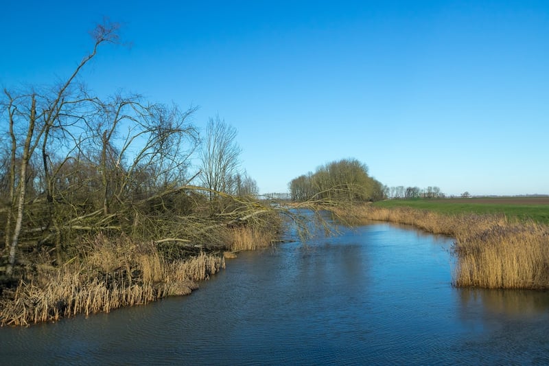 Biesbosch-of-water-3067701_1280 kopie