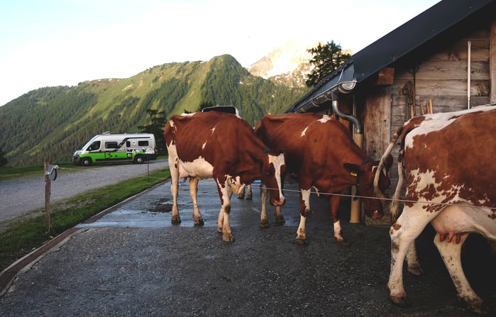 CH - Landvergnügen_Schweiz_Impressionen6 kopie