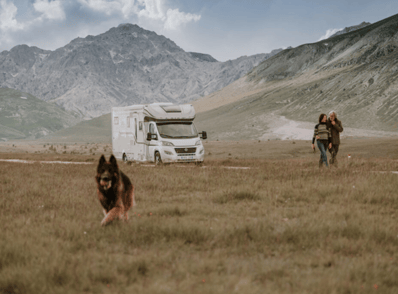 Een camper is perfect om je hond mee te nemen op reis