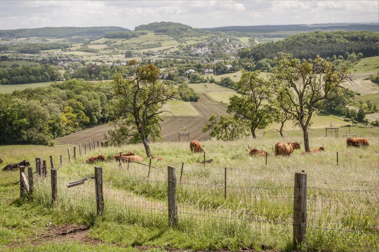 Landscape_Neihaische_35©SIP_JohnZeimet-medium kopie