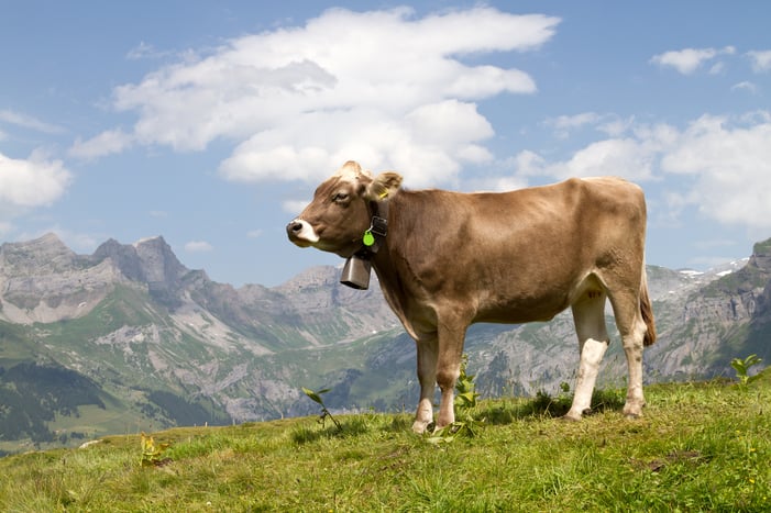 Landvergnügen_Schweiz_Impressionen4 kopie