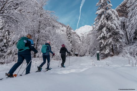 Skiën met de camper: ontdek de magie van een wintervakantie