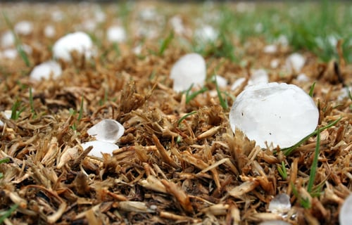 Weer - hagel hailstone-1614239_1280 kopie