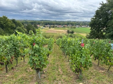 Proef het Hageland: camperweekend langs wijndomeinen