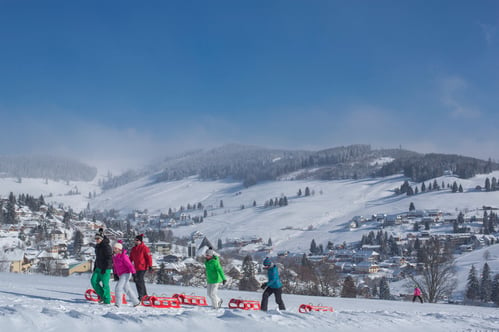 ZW - © Hochschwarzwald Tourismus GmbH Rodeln in Todtnauberg-®Hochschwarzwald Tourismus GmbH kopie