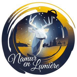 cropped-Logo-Namur-en-lumiere-couleur-768x768
